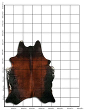 Načíst obrázek do prohlížeče Galerie, Tříbarevná hovězí kůže XL
