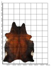 Načíst obrázek do prohlížeče Galerie, Hnědá hovězí kůže XL
