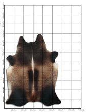 Įkelti vaizdą į galerijos rodinį, Šampaninis karvės kailis XXL
