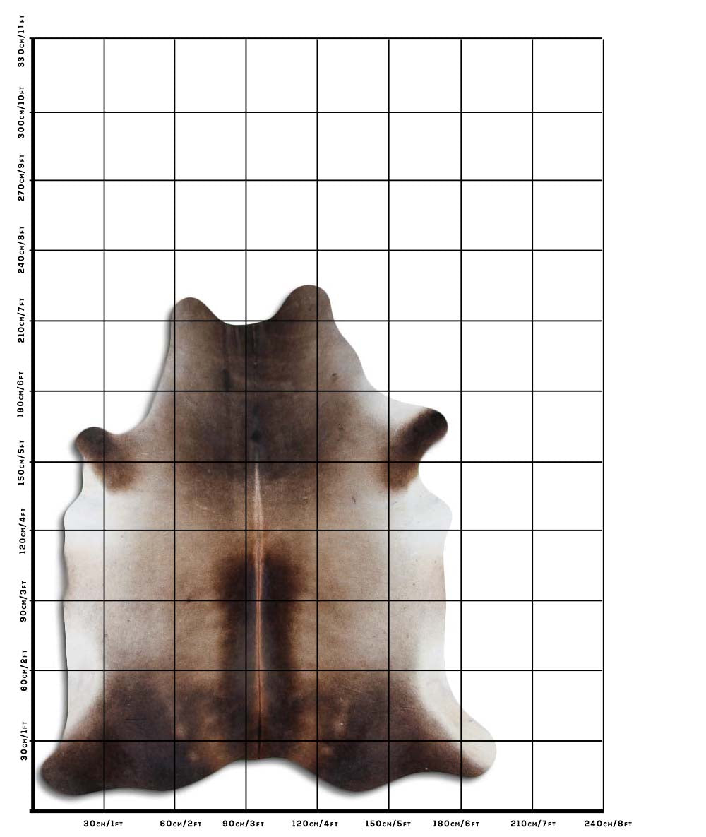 Hnědá hovězí kůže XL