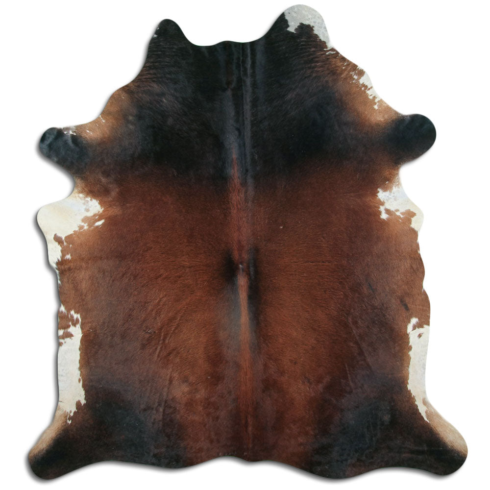 Hnědá hovězí kůže XL