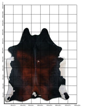 Načíst obrázek do prohlížeče Galerie, Tříbarevná hovězí kůže XXXL
