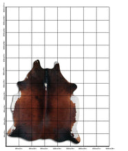 Įkelti vaizdą į galerijos rodinį, Rudas karvės kailis L
