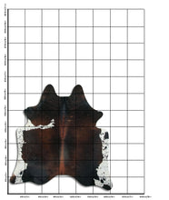 Načíst obrázek do prohlížeče Galerie, Tříbarevná hovězí kůže L
