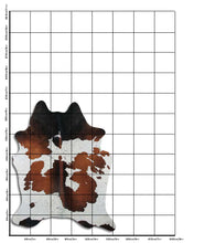 Įkelti vaizdą į galerijos rodinį, Rudas karvės kailis L
