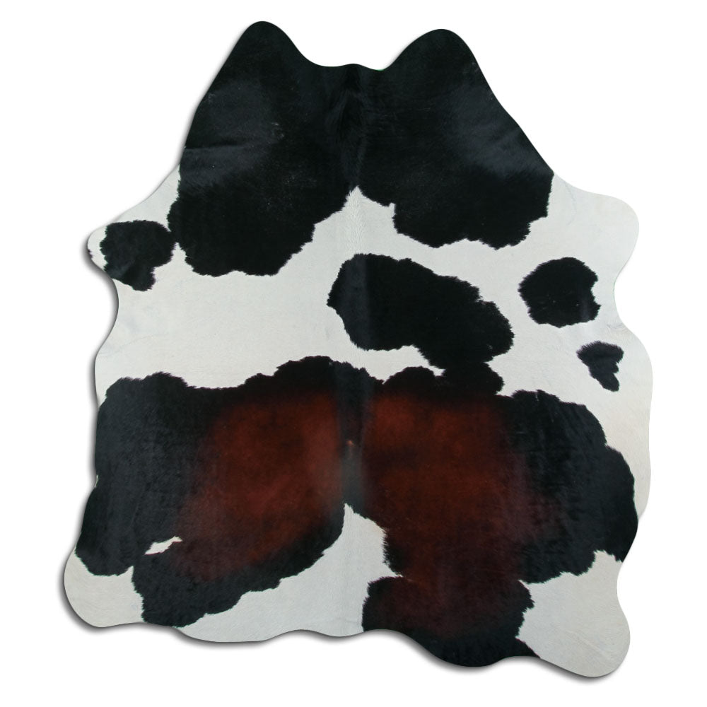 Trispalvis karvės kailis L