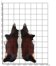 Načíst obrázek do prohlížeče Galerie, Hnědá hovězí kůže XL
