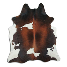 Načíst obrázek do prohlížeče Galerie, Tříbarevná hovězí kůže XL
