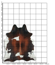 Načíst obrázek do prohlížeče Galerie, Tříbarevná hovězí kůže XL
