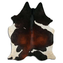 Načíst obrázek do prohlížeče Galerie, Tříbarevná hovězí kůže XL
