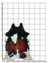 Načíst obrázek do prohlížeče Galerie, Tříbarevná hovězí kůže XL

