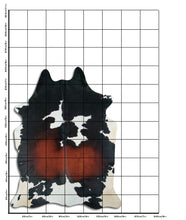 Načíst obrázek do prohlížeče Galerie, Tříbarevná hovězí kůže XXL
