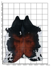 Načíst obrázek do prohlížeče Galerie, Tříbarevná hovězí kůže XXXL
