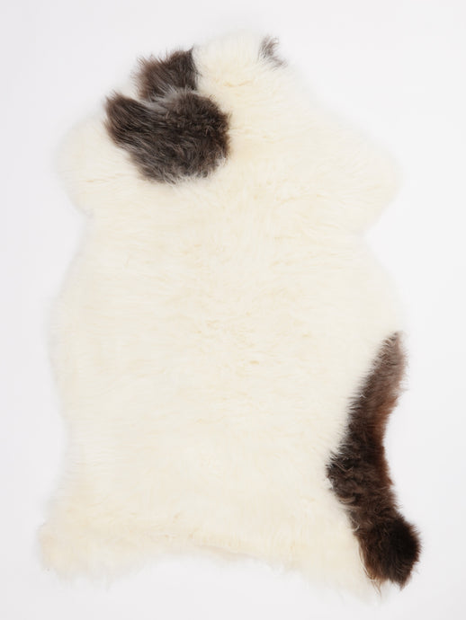 Įvairiaspalvis avikailis XL