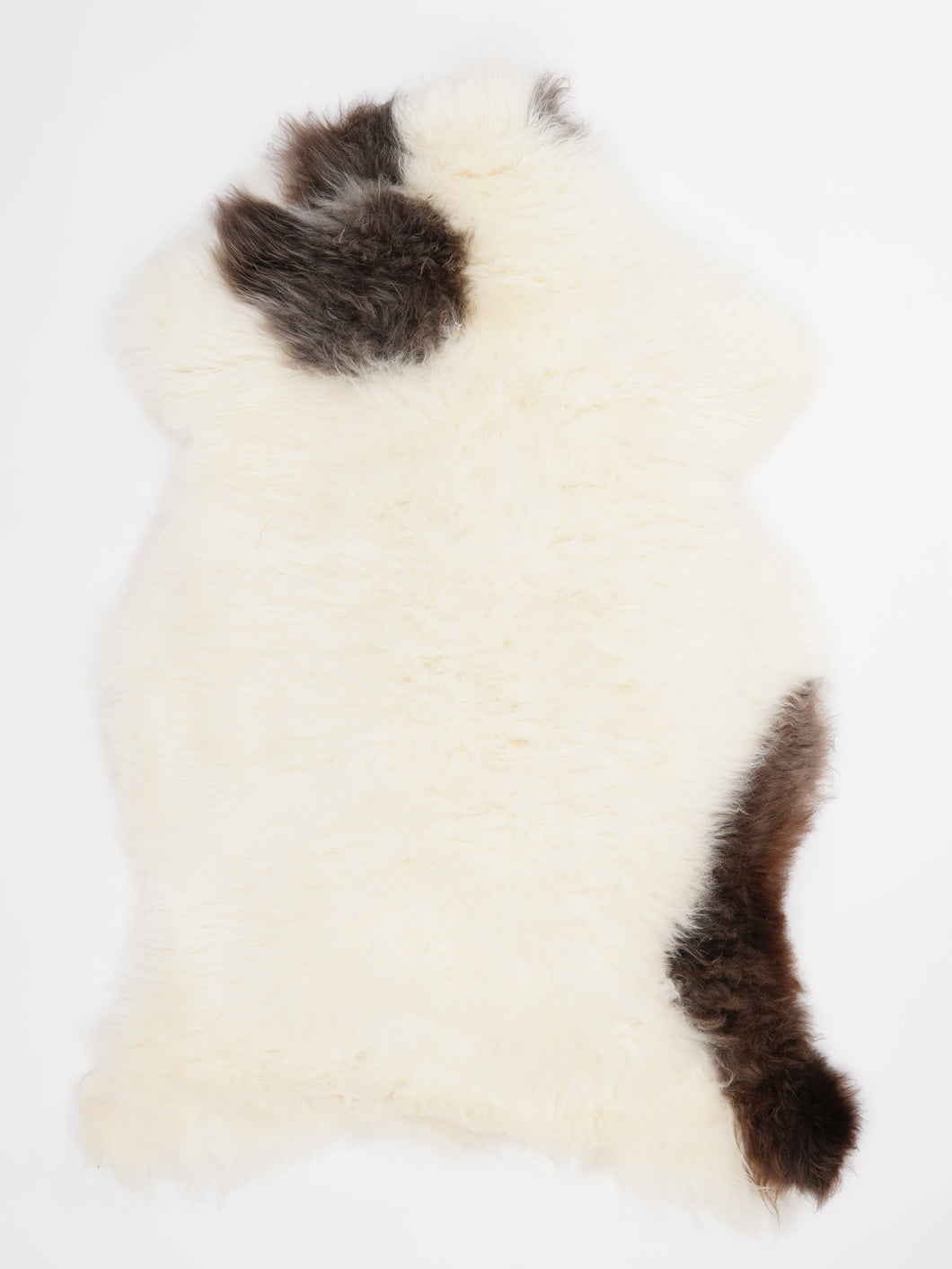 Įvairiaspalvis avikailis XL