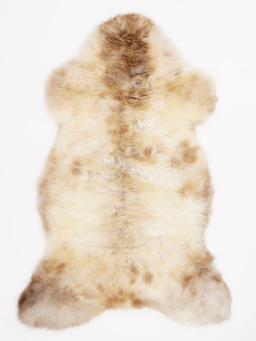 Įvairiaspalvis avikailis L