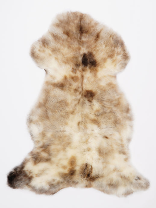 Įvairiaspalvis avikailis L