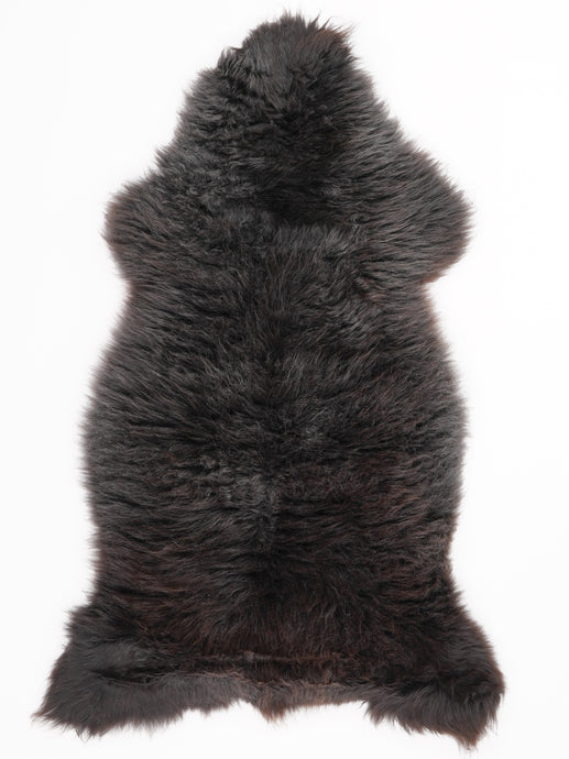 Įvairiaspalvis avikailis L