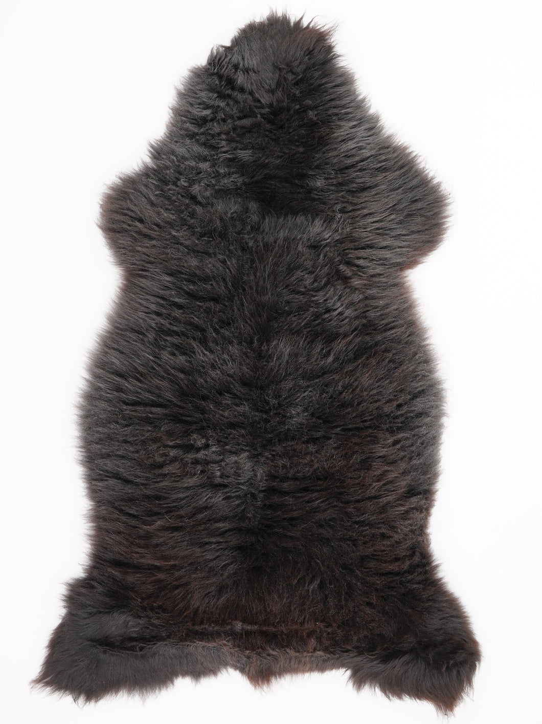 Įvairiaspalvis avikailis L