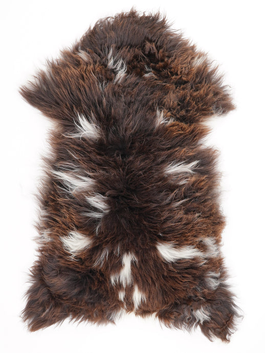 Įvairiaspalvis avikailis L