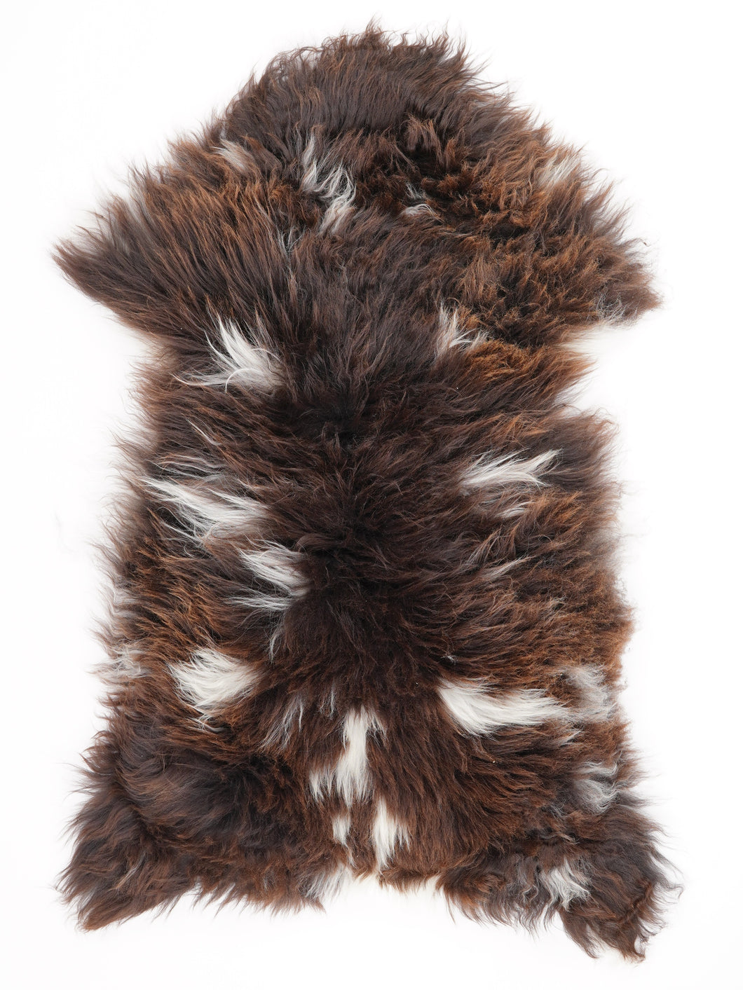 Įvairiaspalvis avikailis L