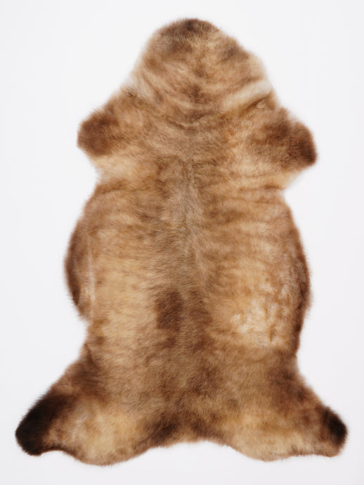 Įvairiaspalvis avikailis XL