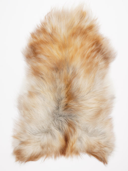 Islandiškas avikailis XXL