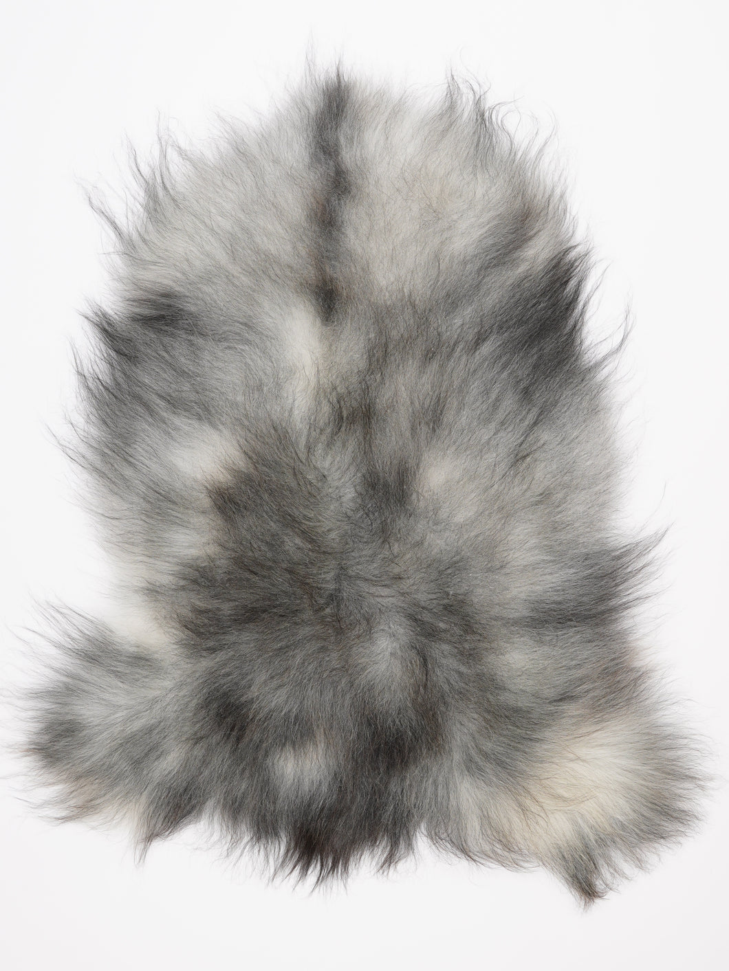 Islandiškas avikailis XL