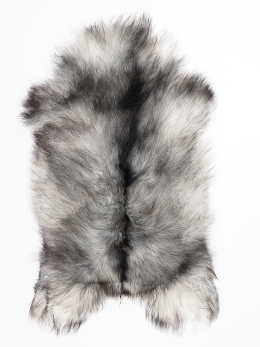 Pilkas islandiškas avikailis XL