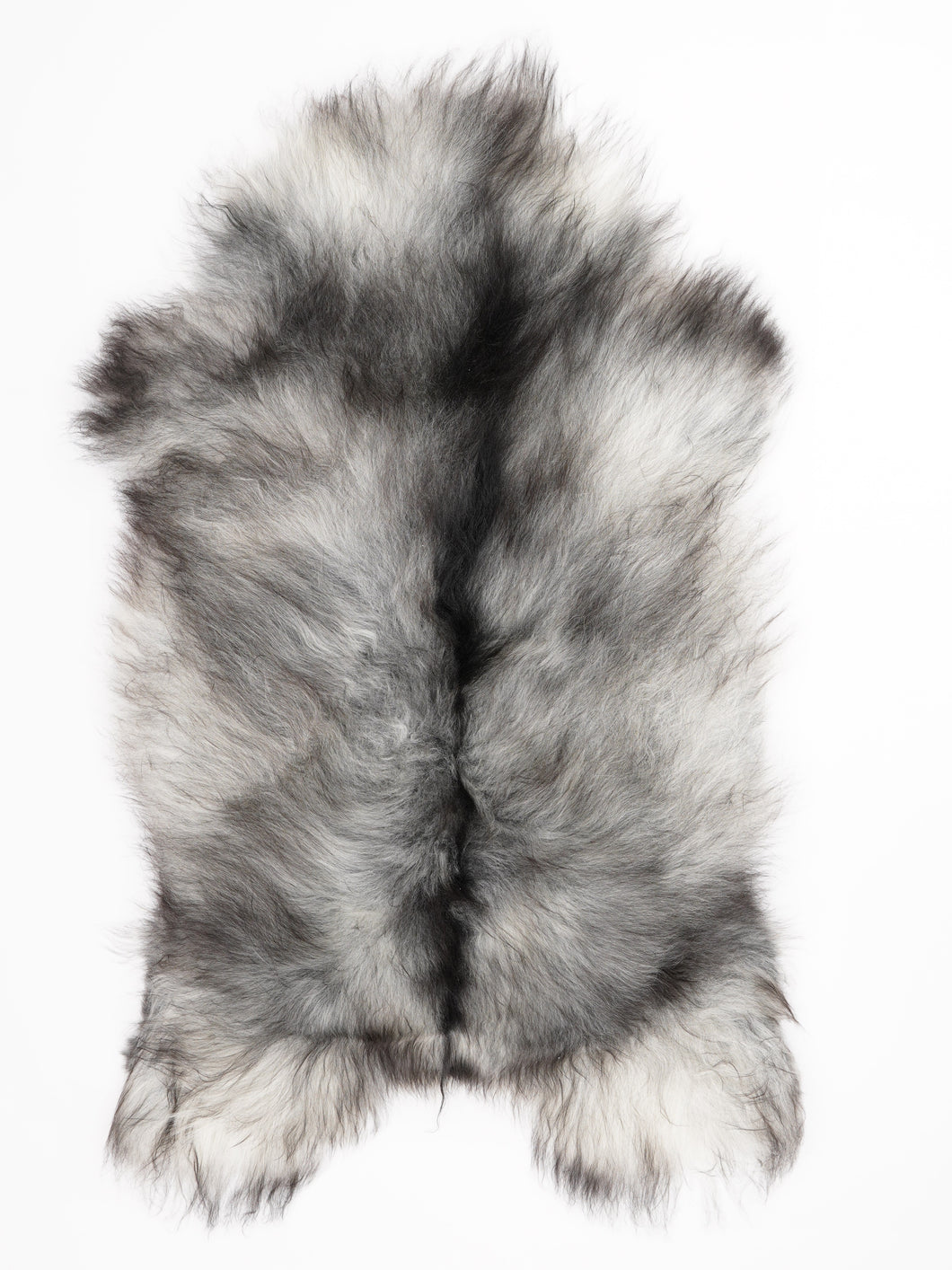 Pilkas islandiškas avikailis XL