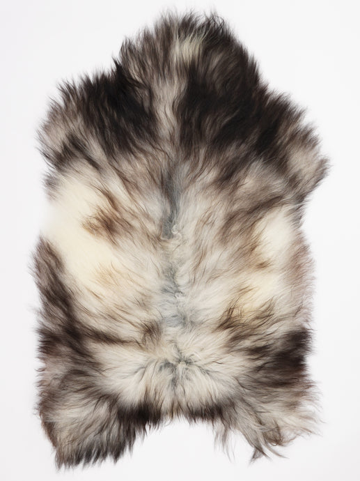 Pilkas islandiškas avikailis XL