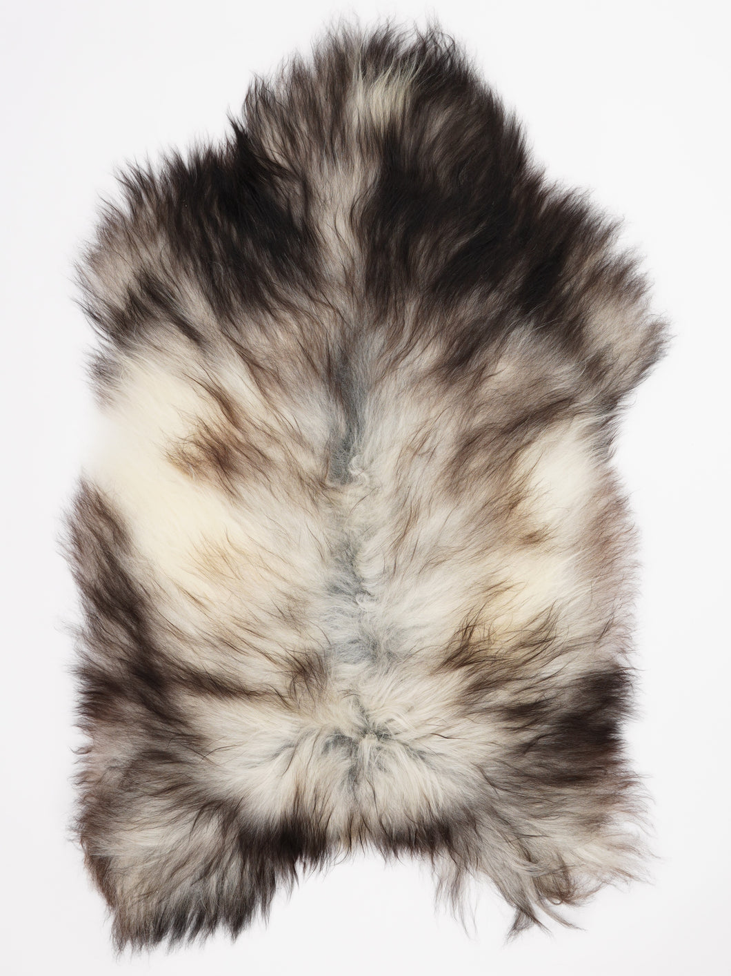 Pilkas islandiškas avikailis XL