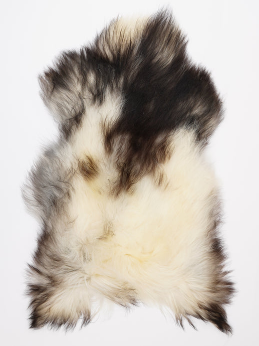 Islandiškas avikailis XL