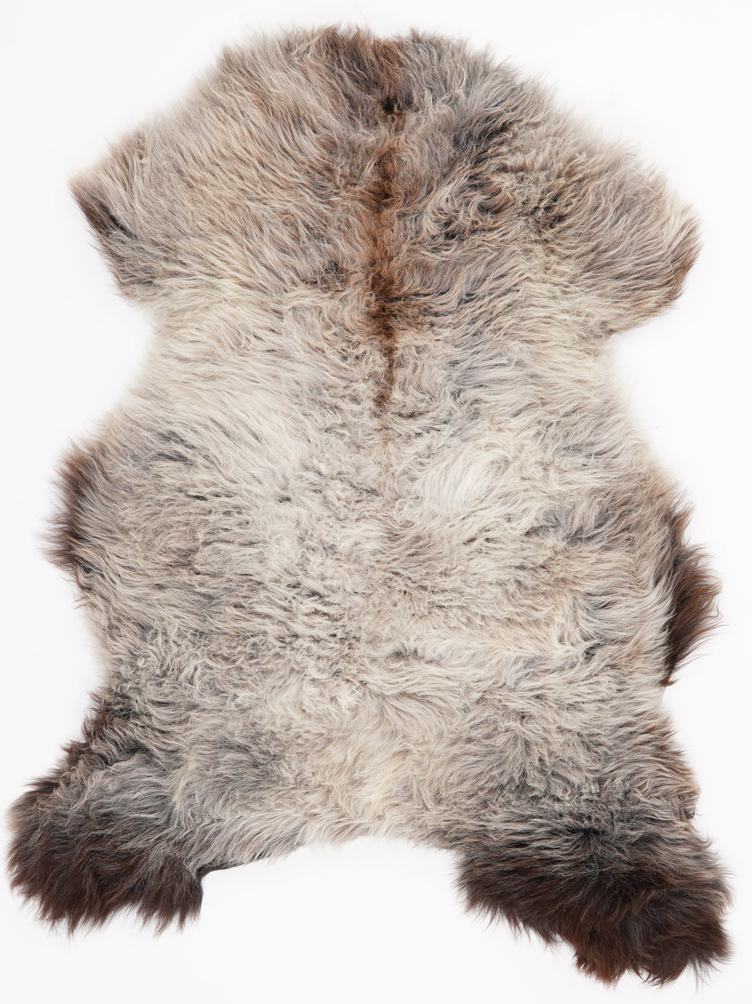 Įvairiaspalvis avikailis L