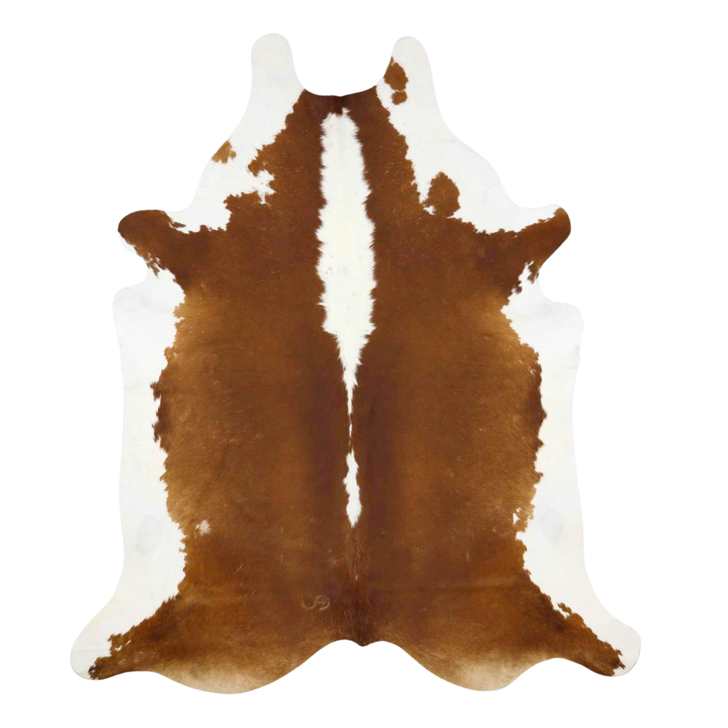 Tamsus šampaninis karvės kailis XXL