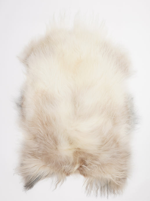 Islandiškas avikailis XL