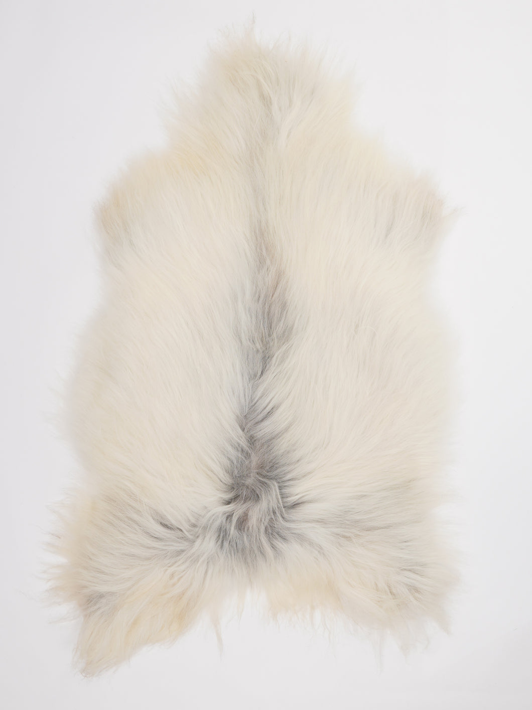 Islandiškas avikailis L