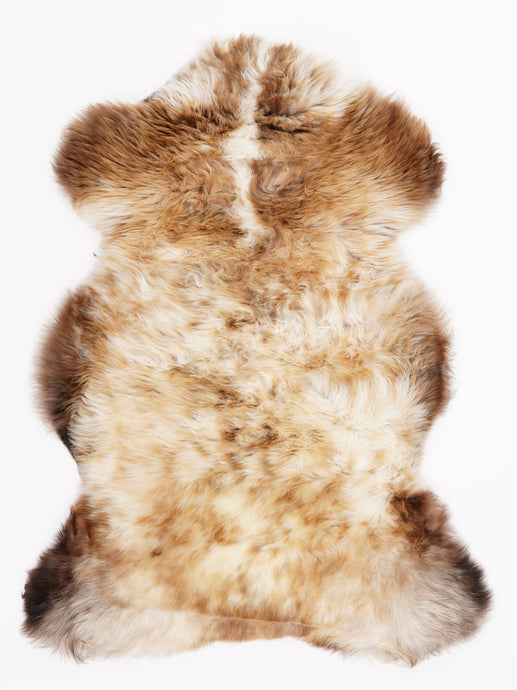 Įvairiaspalvis avikailis L