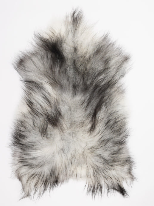 Pilkas islandiškas avikailis XL