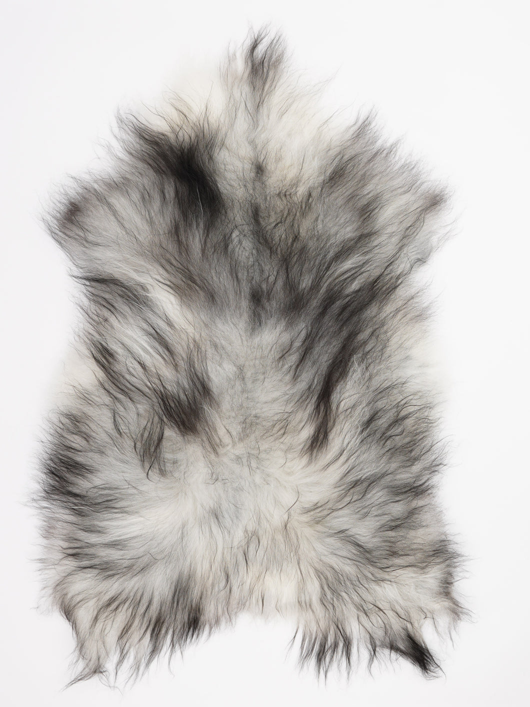 Pilkas islandiškas avikailis XL