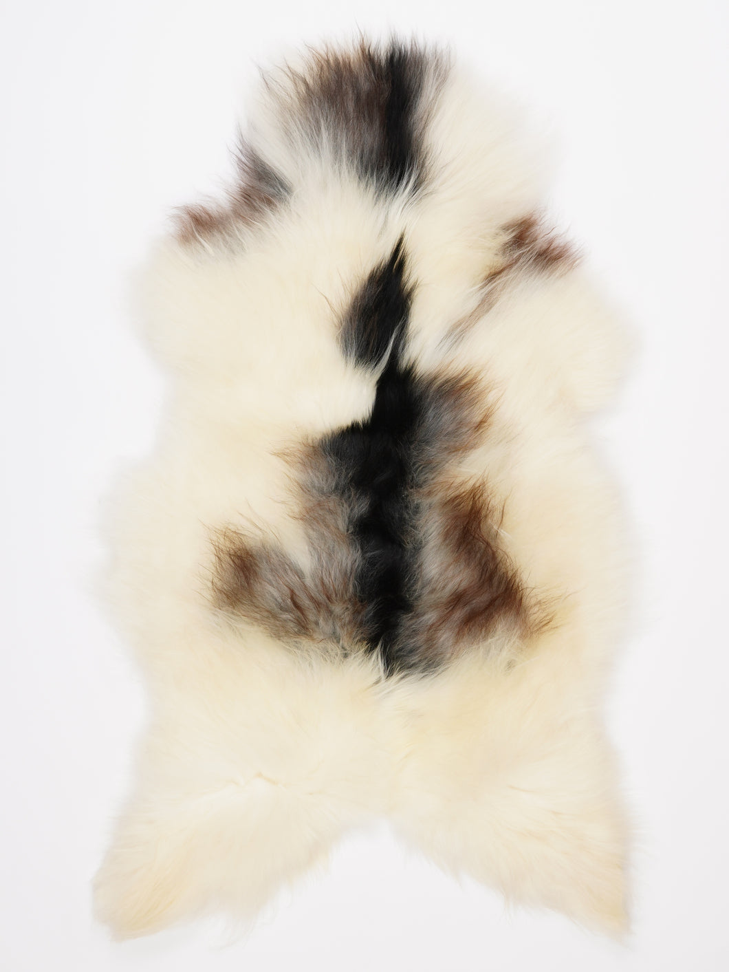 Islandiškas avikailis XL