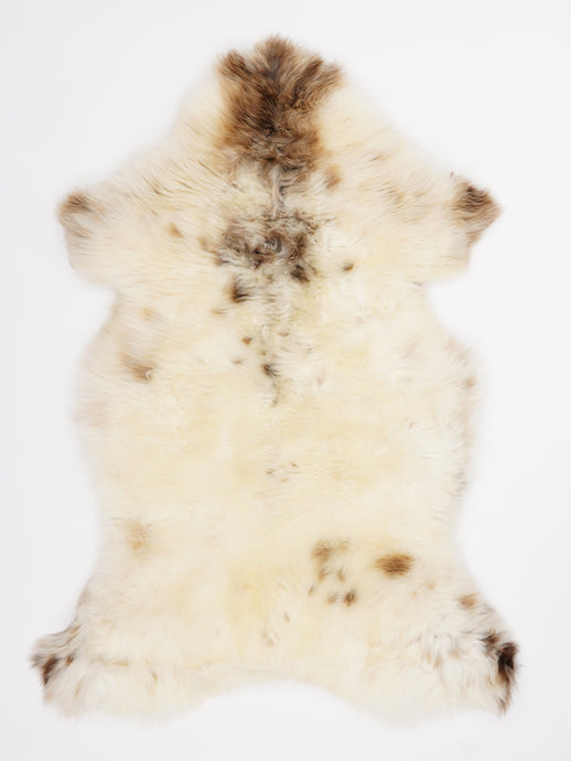 Įvairiaspalvis avikailis L