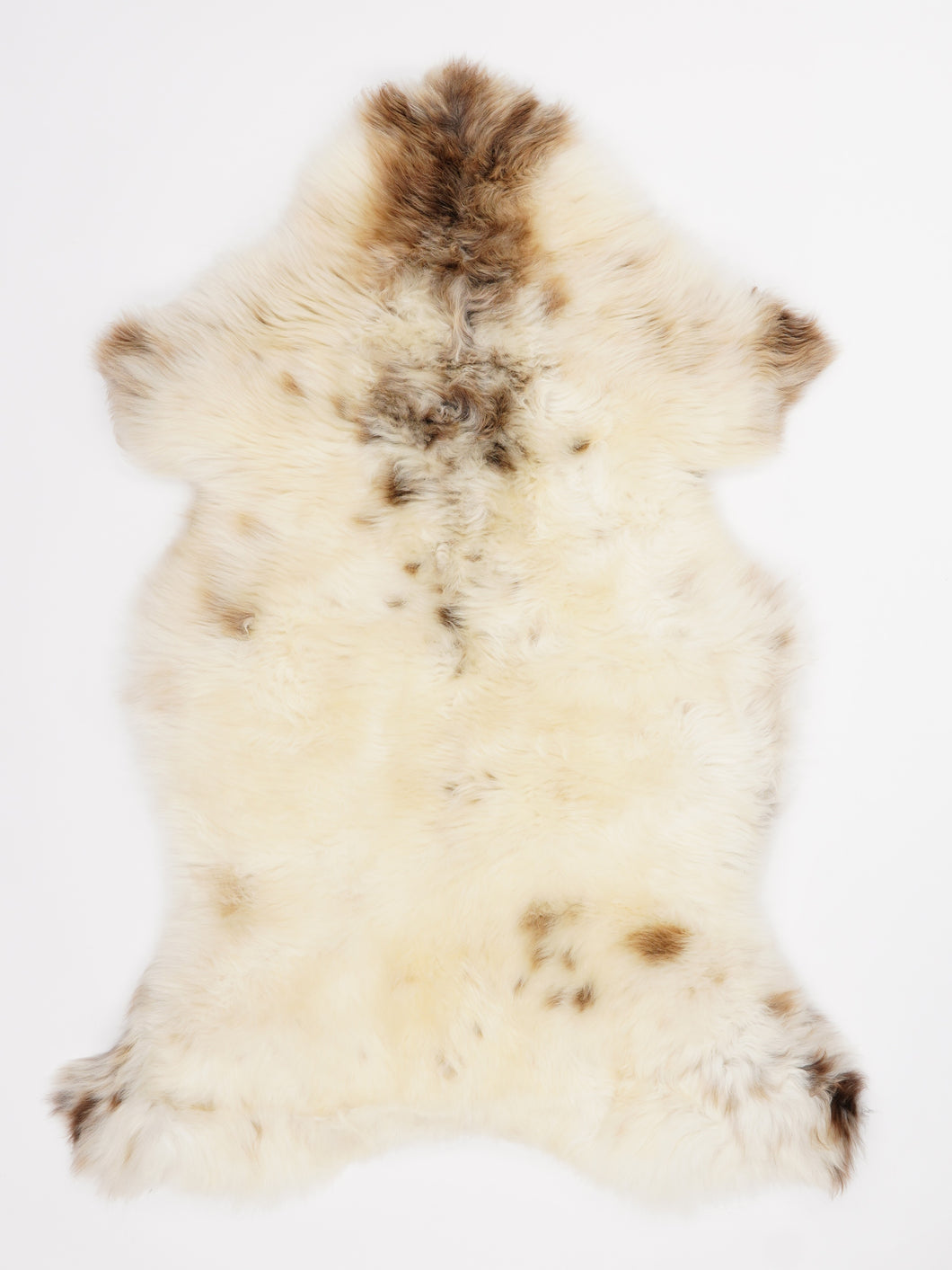 Įvairiaspalvis avikailis L