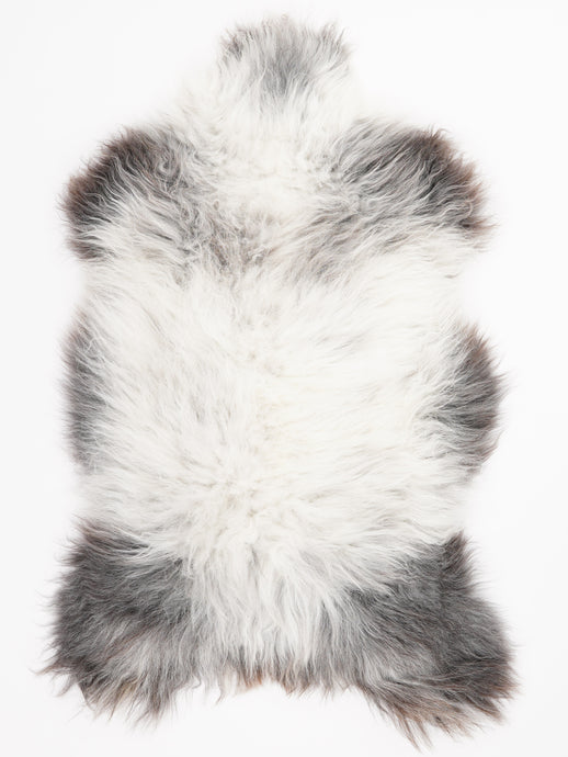 Įvairiaspalvis avikailis XL