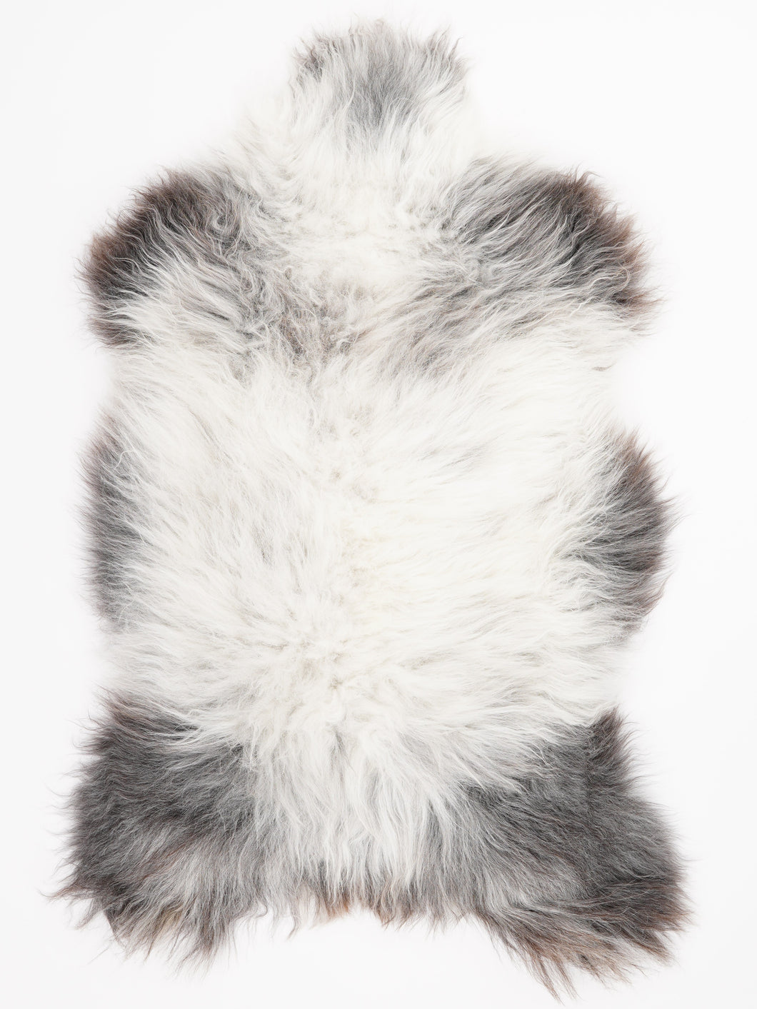 Įvairiaspalvis avikailis XL