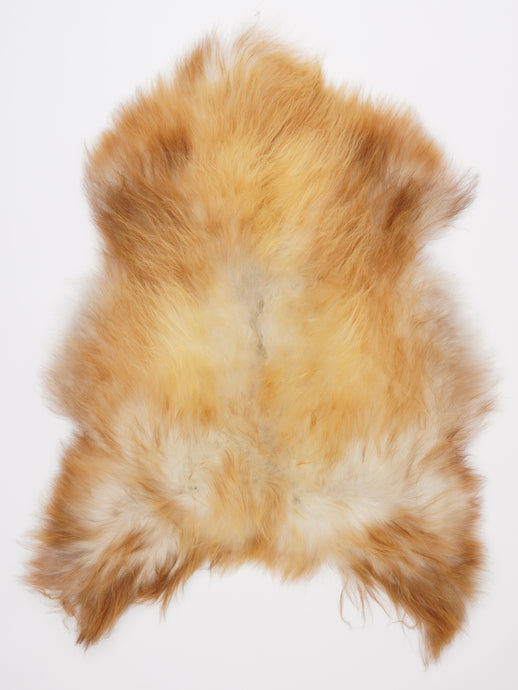 Islandiškas avikailis L