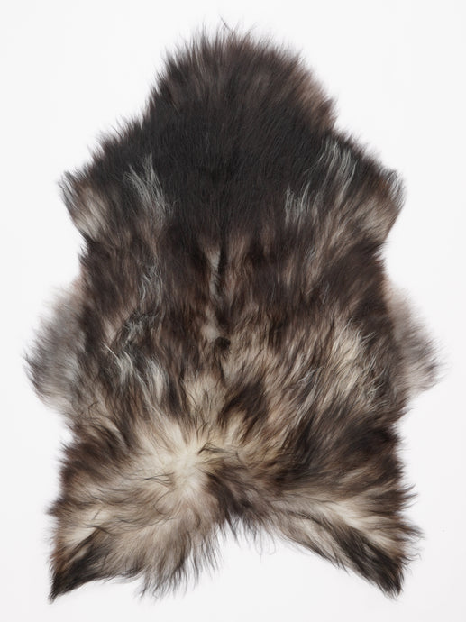 Pilkas islandiškas avikailis XL