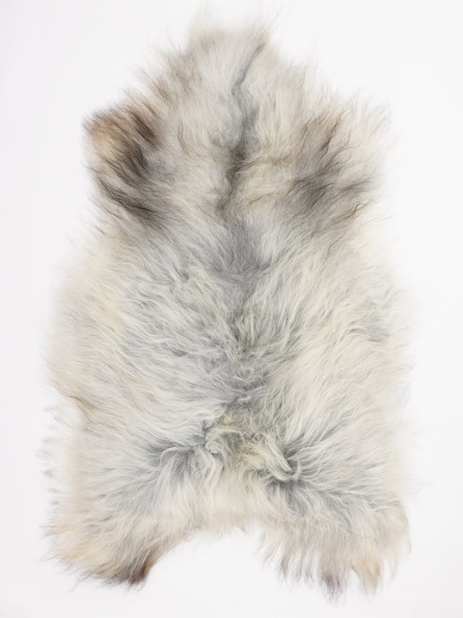 Islandiškas avikailis XXL