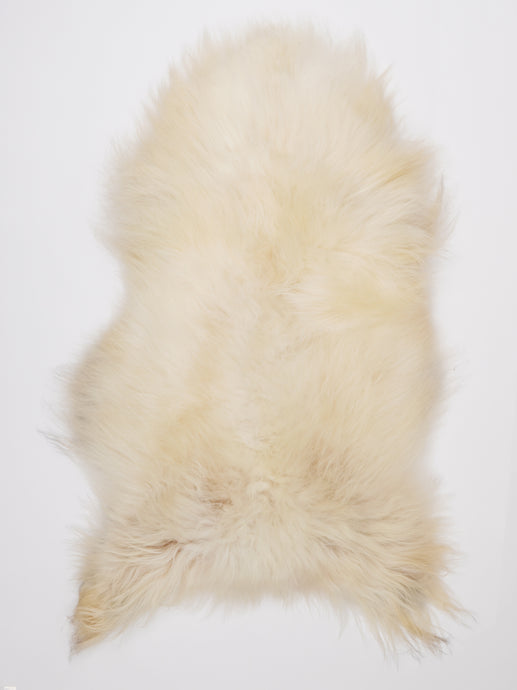 Islandiškas avikailis XL