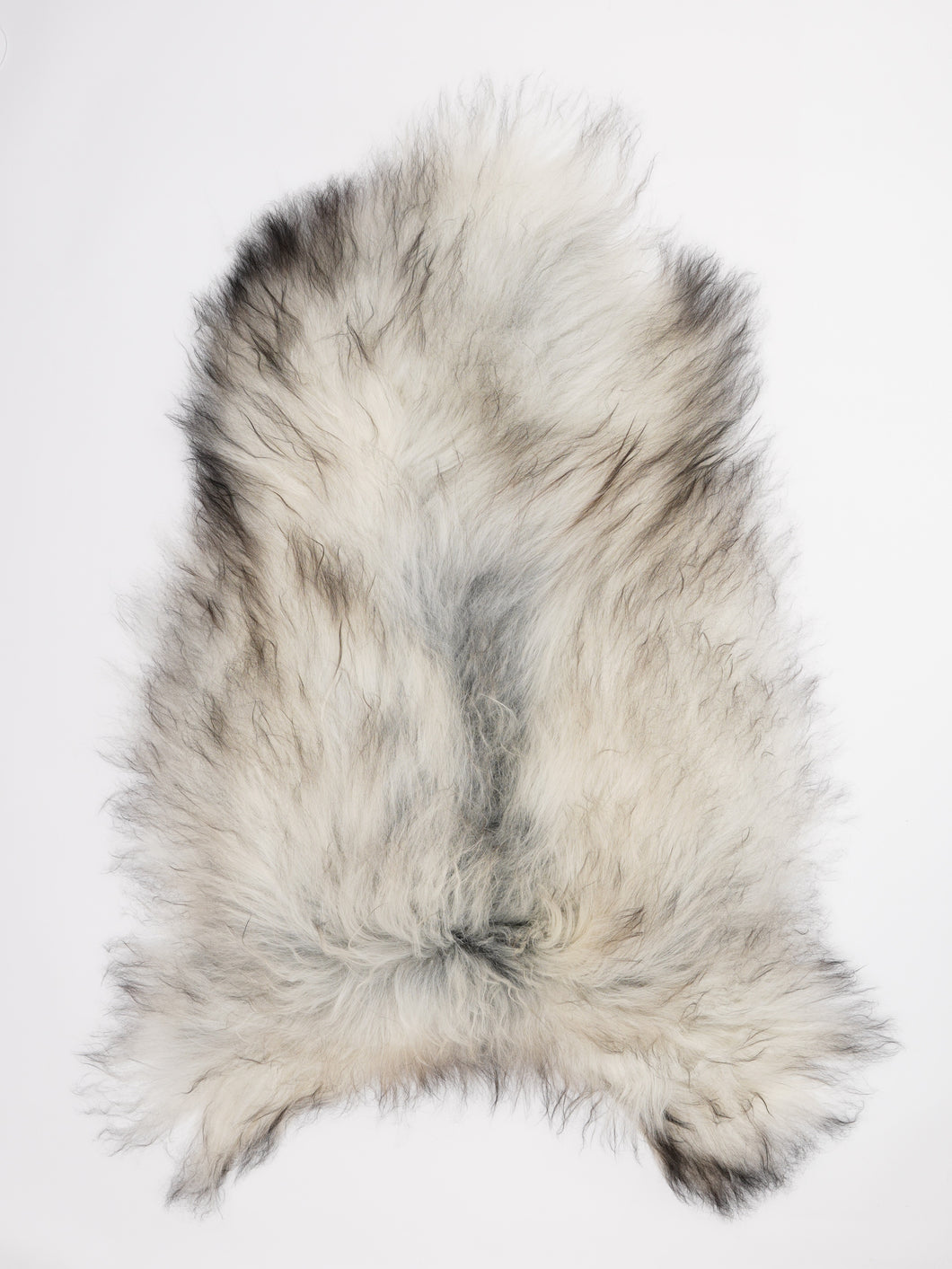 Islandiškas avikailis XXL